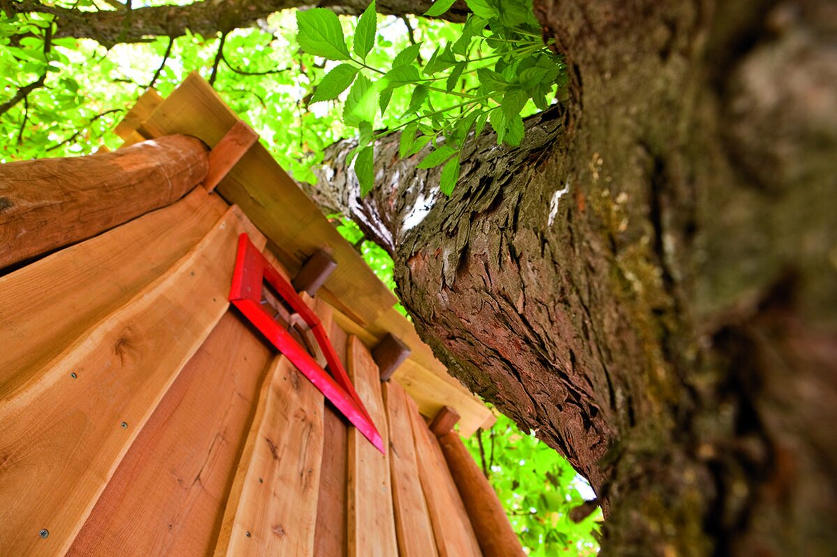 houten speelgoedtoren naast boomstam van onderaf gefotografeerd.
